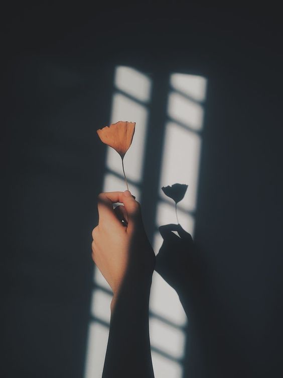 longdistance.jpg