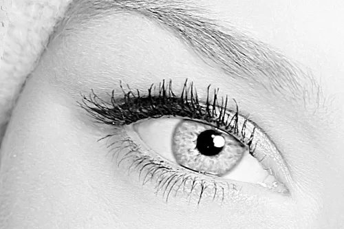 The-Vital-Touch-Eyebrow-Thumbnail.jpg