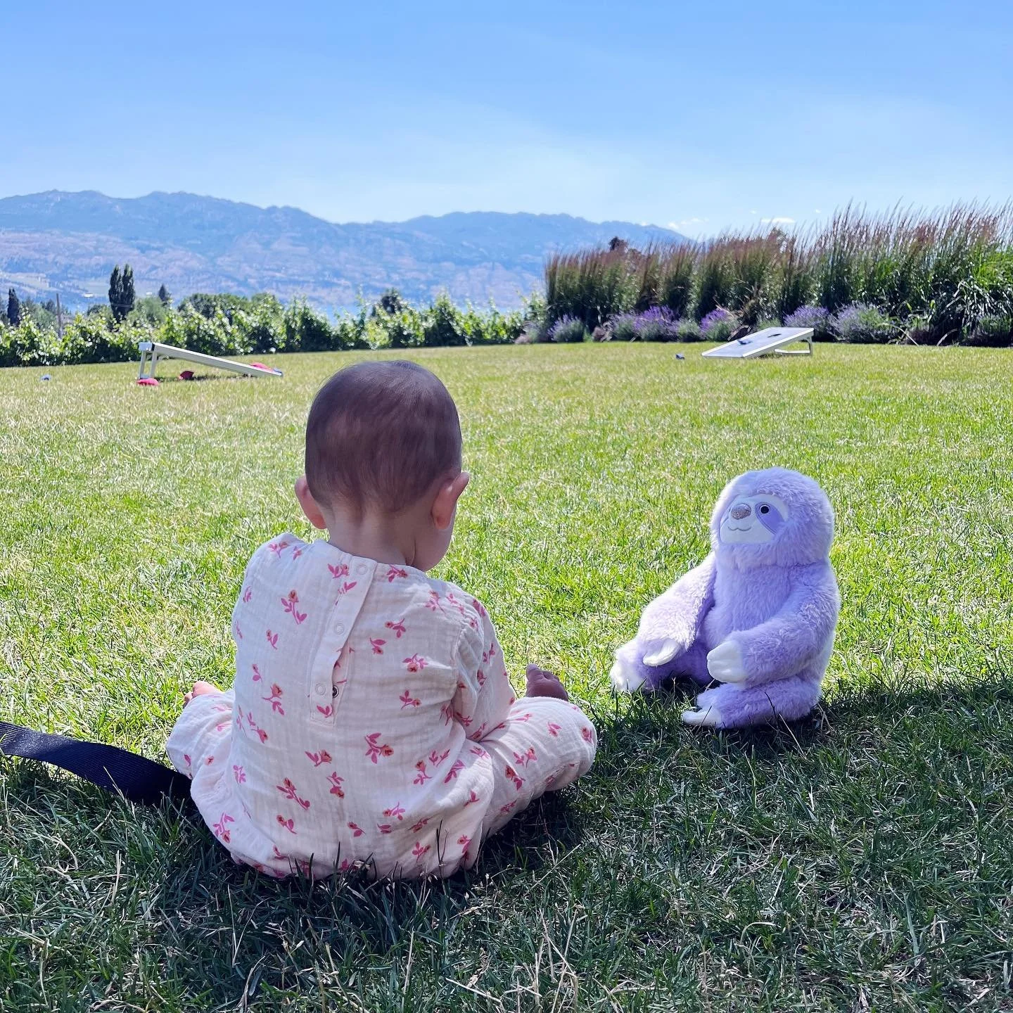 We are all born mindful, and somewhere along the way, our minds get programmed to wander to the past and future, and we simply forget about the present moment. I am unsure where and how I lost my mind&rsquo;s natural state of mindfulness. Still, I re