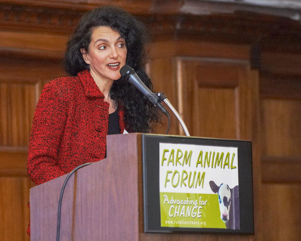 Vegan author Karen Dawn gives a talk at Farm Sanctuary's Farm Animal Forum
