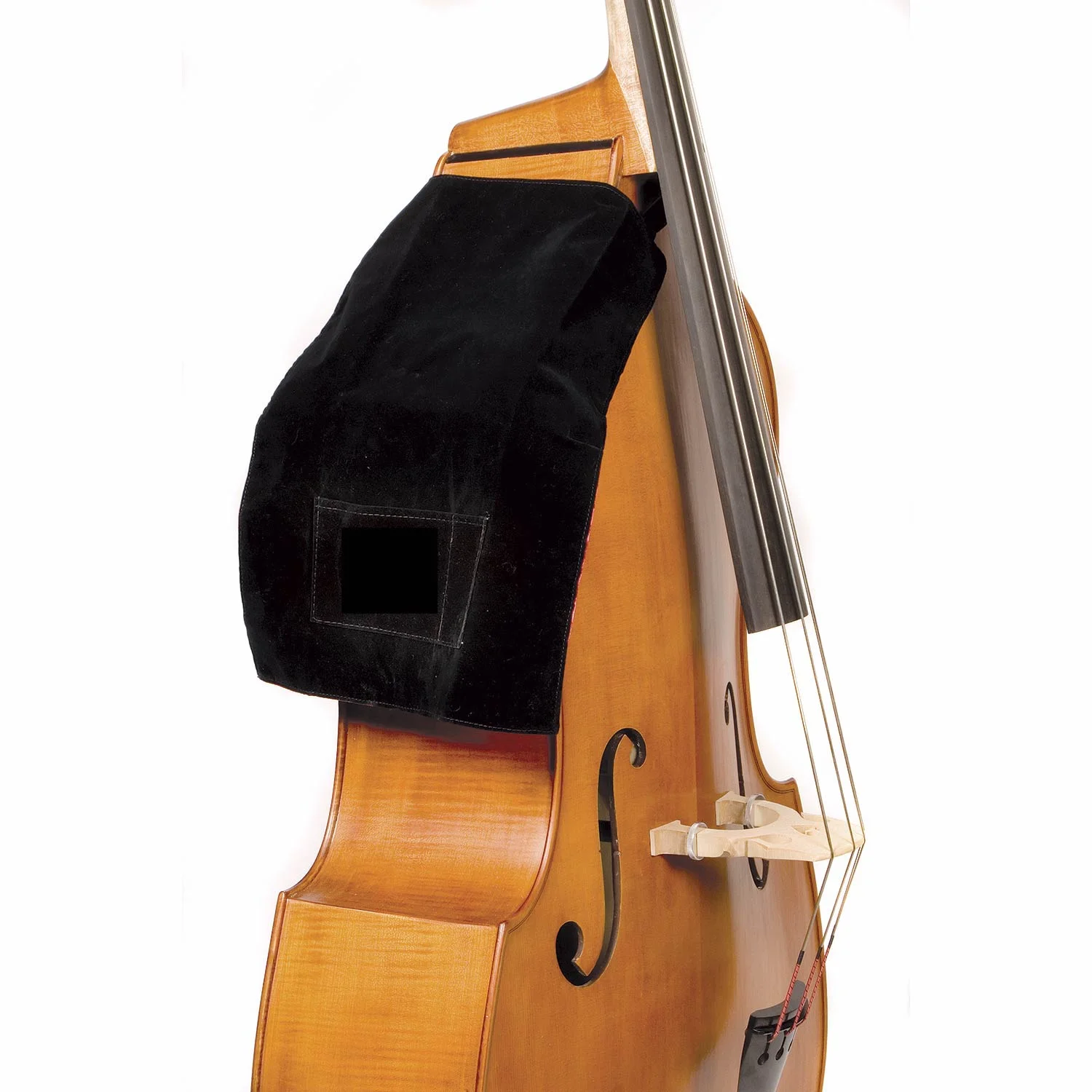 bassbib.jpg