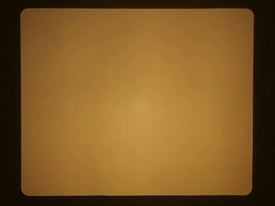 smallercock.gif