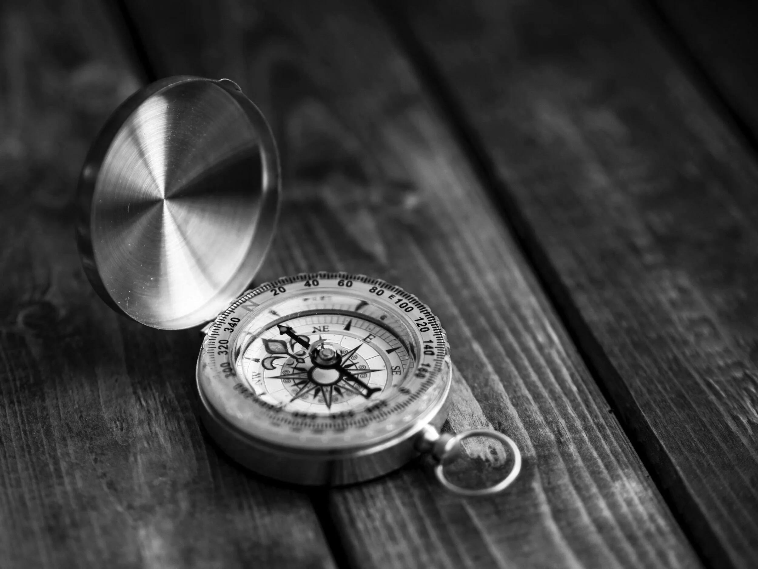 aaron-burden-NXt5PrOb_7U-unsplash.jpg