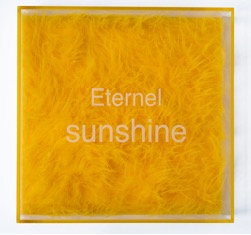 Eternel Sunshine edition 2009
