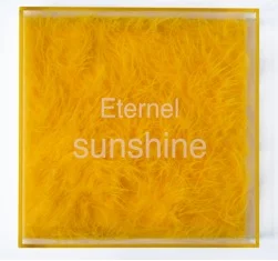 Eternel Sunshine edition 2009