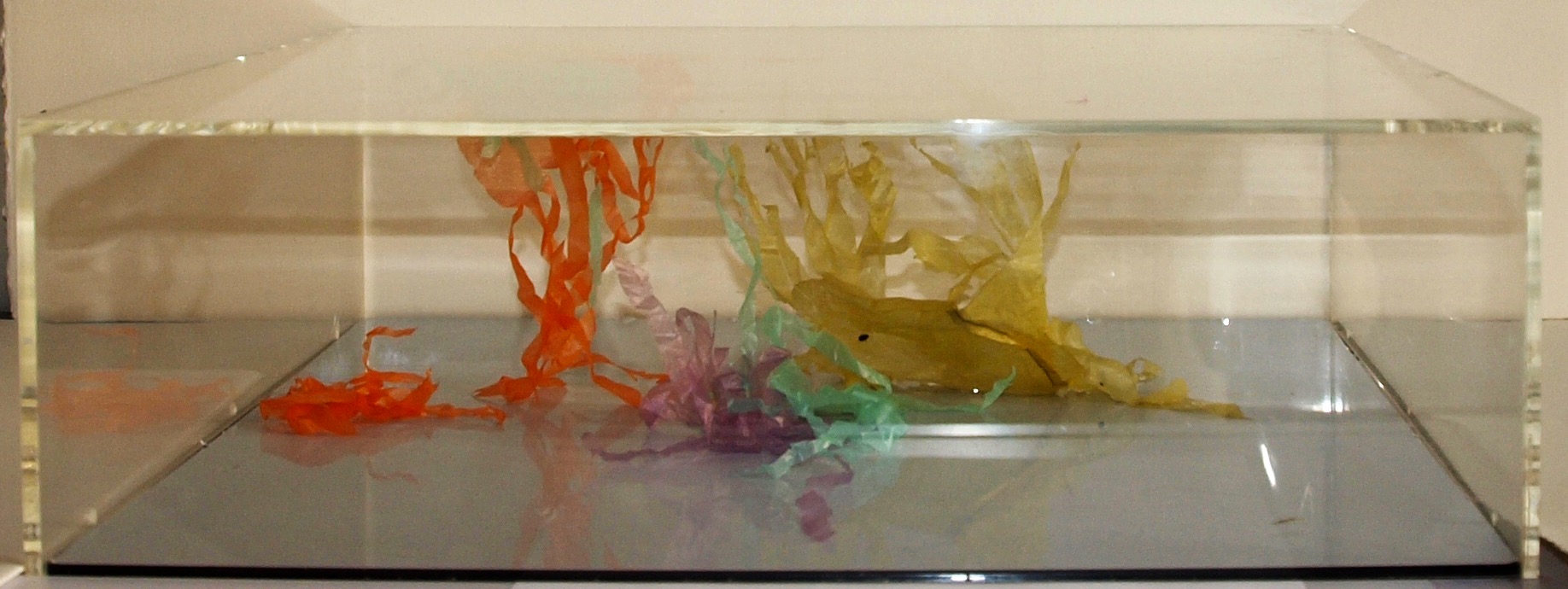 L'aquarium des méduses 80/60  2009
