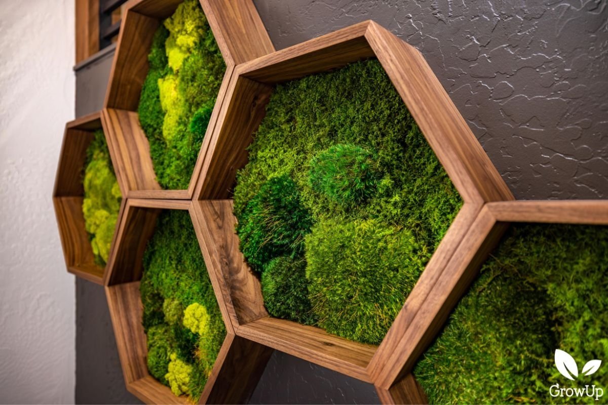 Hex Moss Wall Design