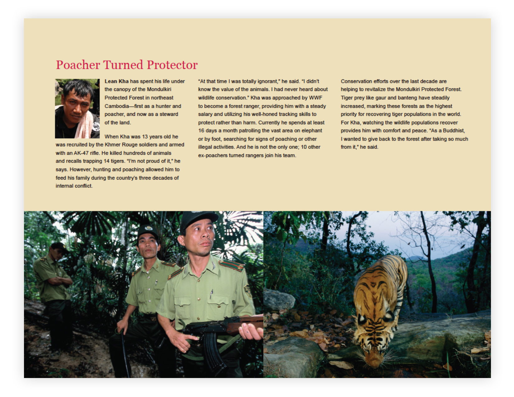 WWF_Page_3.jpg