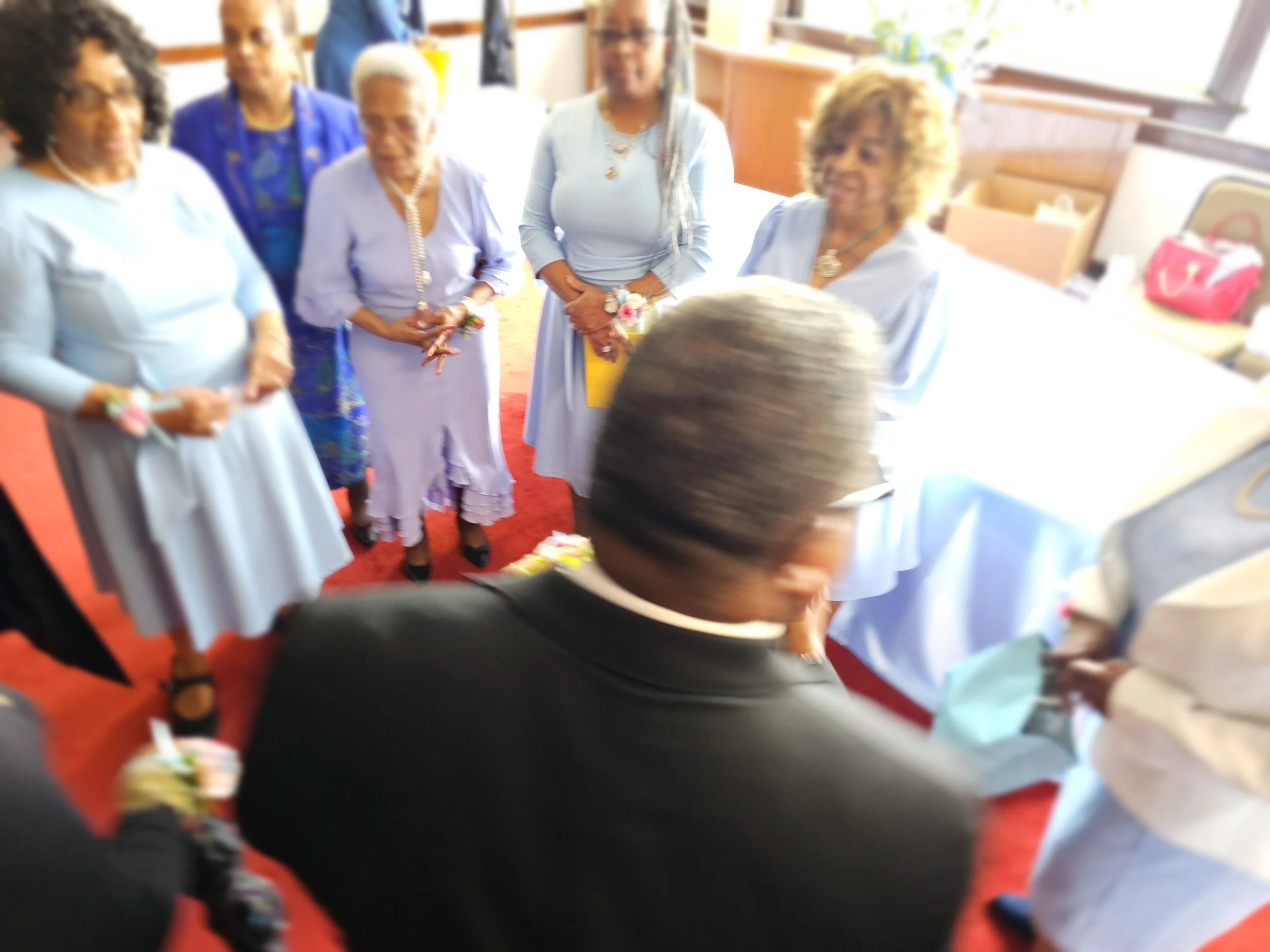 Group of women in pastel dresses and a man in a black suit in a room with red carpet, possibly at a gathering or celebration, with natural light coming through window.