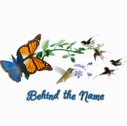 POETRY QUEST #1: Behind the Name