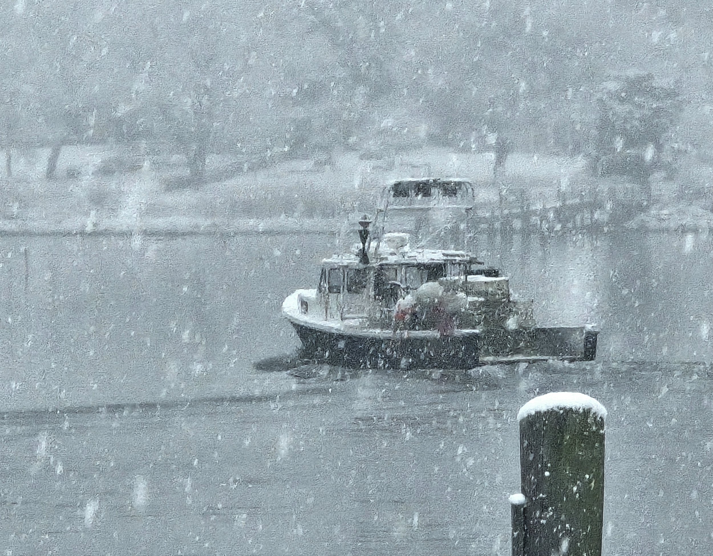 Jerry Donovan - Snowy Borough 1000021062.jpg