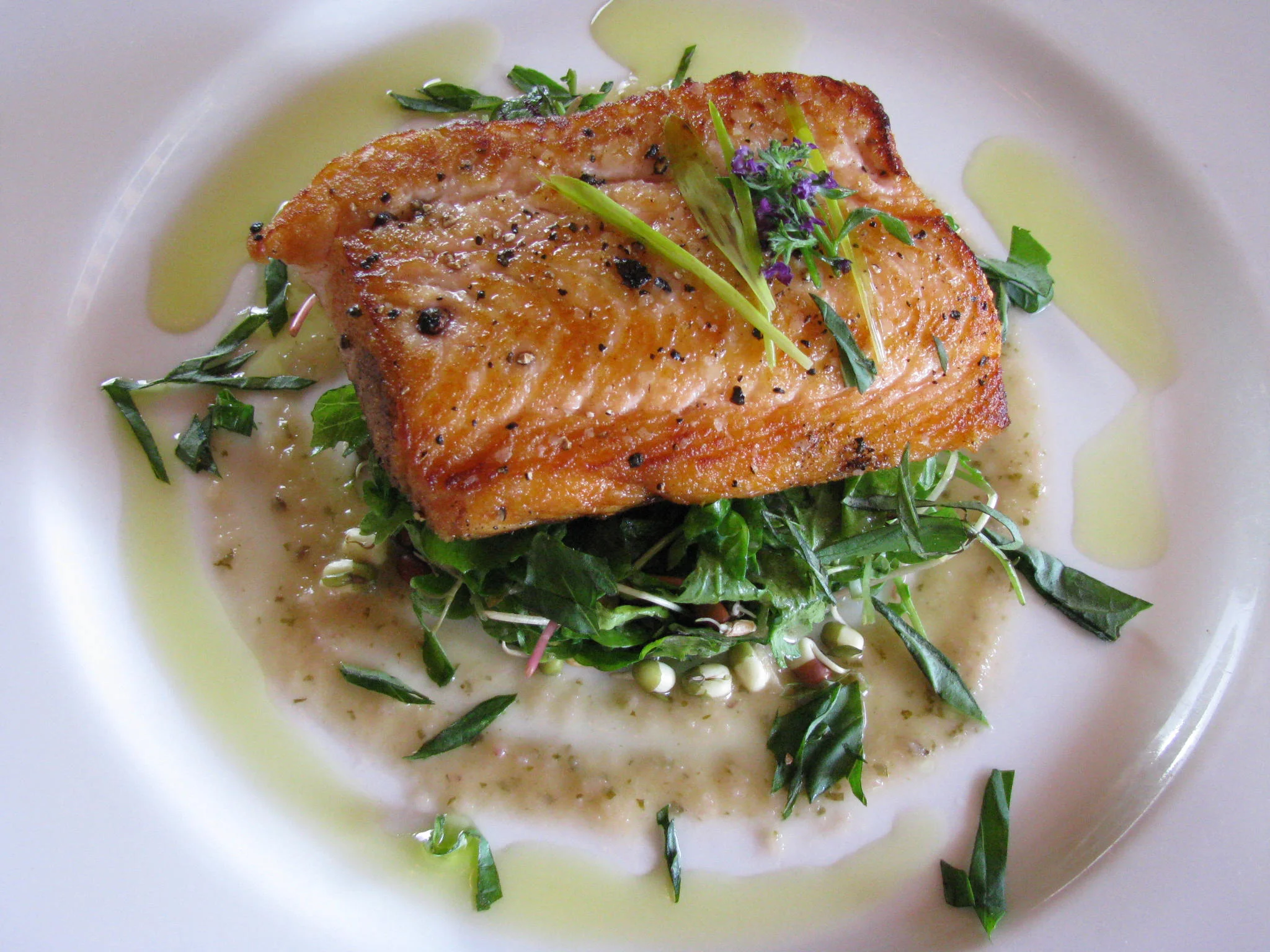 Water St. Salmon.jpg