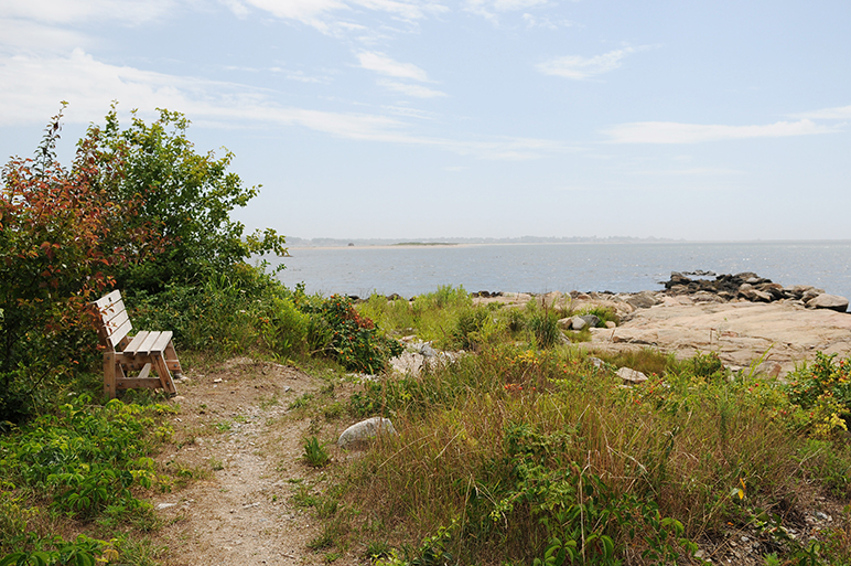 Dodge Paddock & Beal Preserve