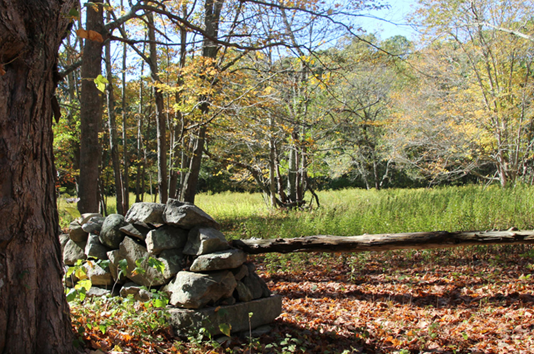 Fennerswood Preserve