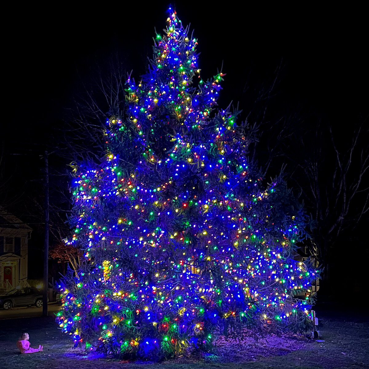 The Borough is celebrating the season with two beautiful trees!

Last Friday, the Stonington Village Improvement Association hosted our annual holiday stroll and lit our beautiful tree in Wadawanuck Square. At the town docks, the incredible @stoningt