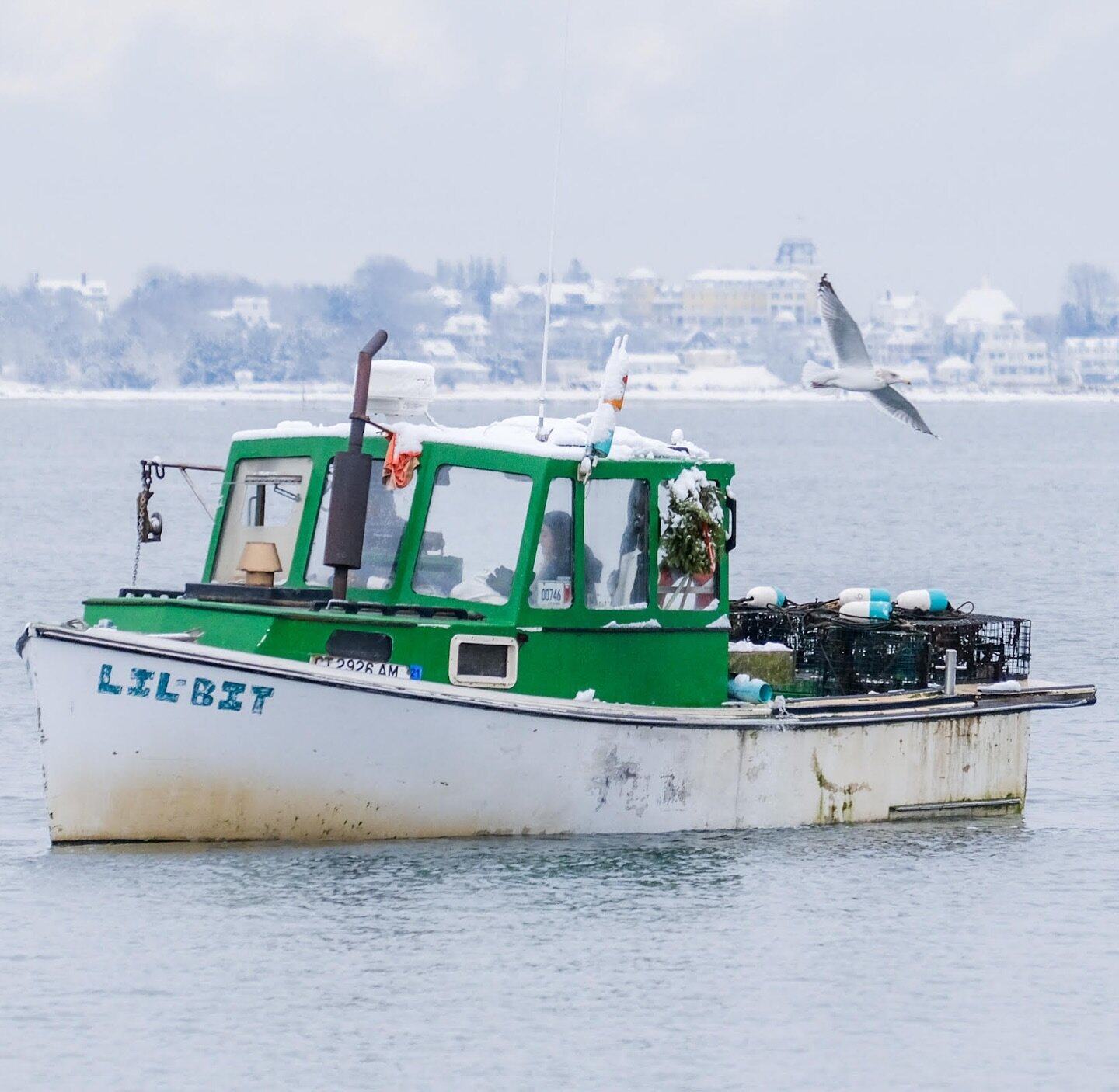 Our fishermen are still at work, even when it&rsquo;s a lil-bit cold!

📸 @thedougabides13 

#stoningtonborough
#stoningtonct
#commercialfishing
#winterinstonington
#snowdays
#freshseafood
#commercialseaport
#fishingforfood
#winteronthewater
#newengl