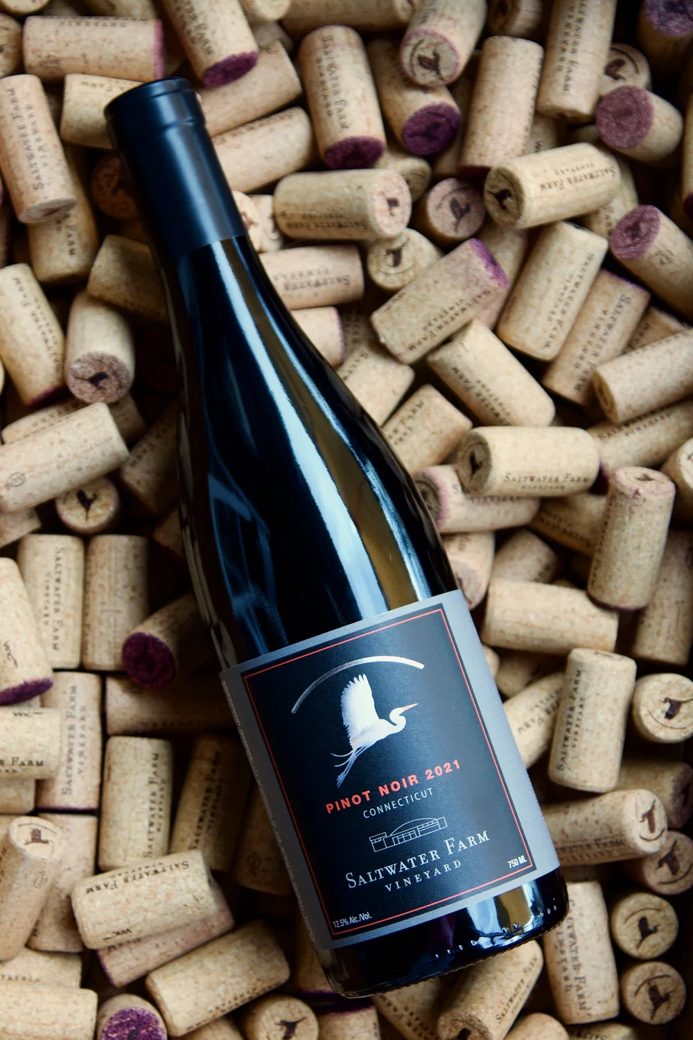 Photo by KrushGraphics