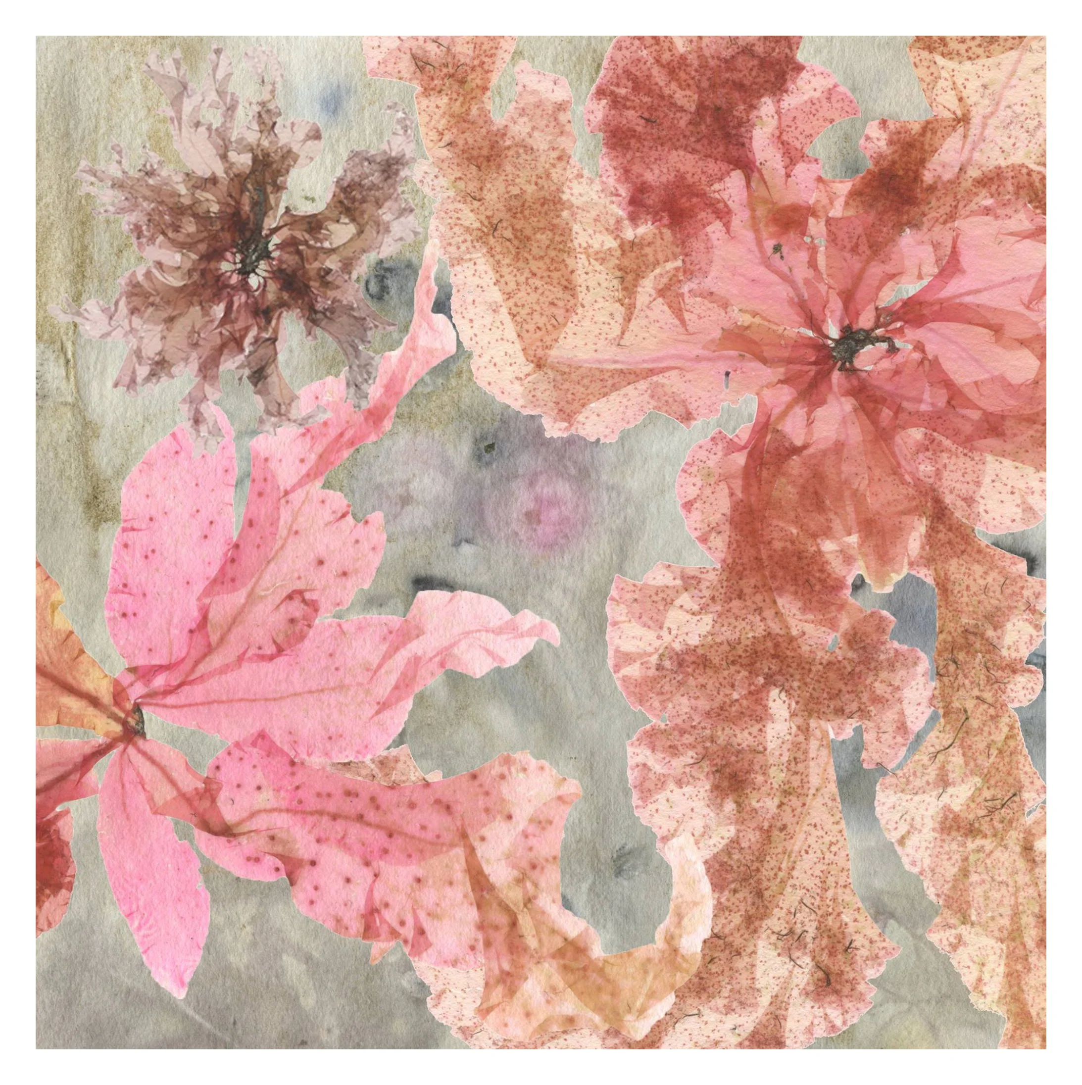 Mary Jameson / Saltwater Studio Newport