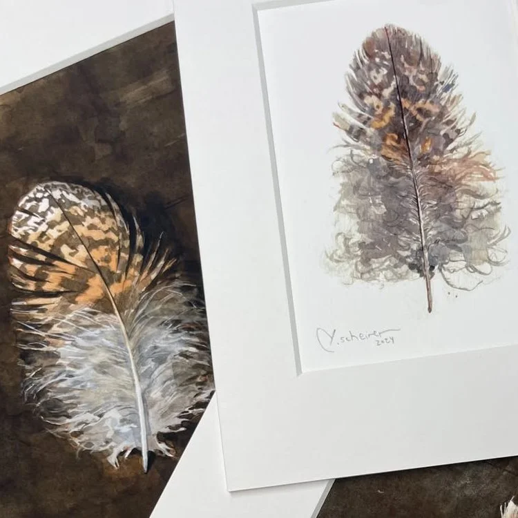 Feather Prints at Mountain Hollow