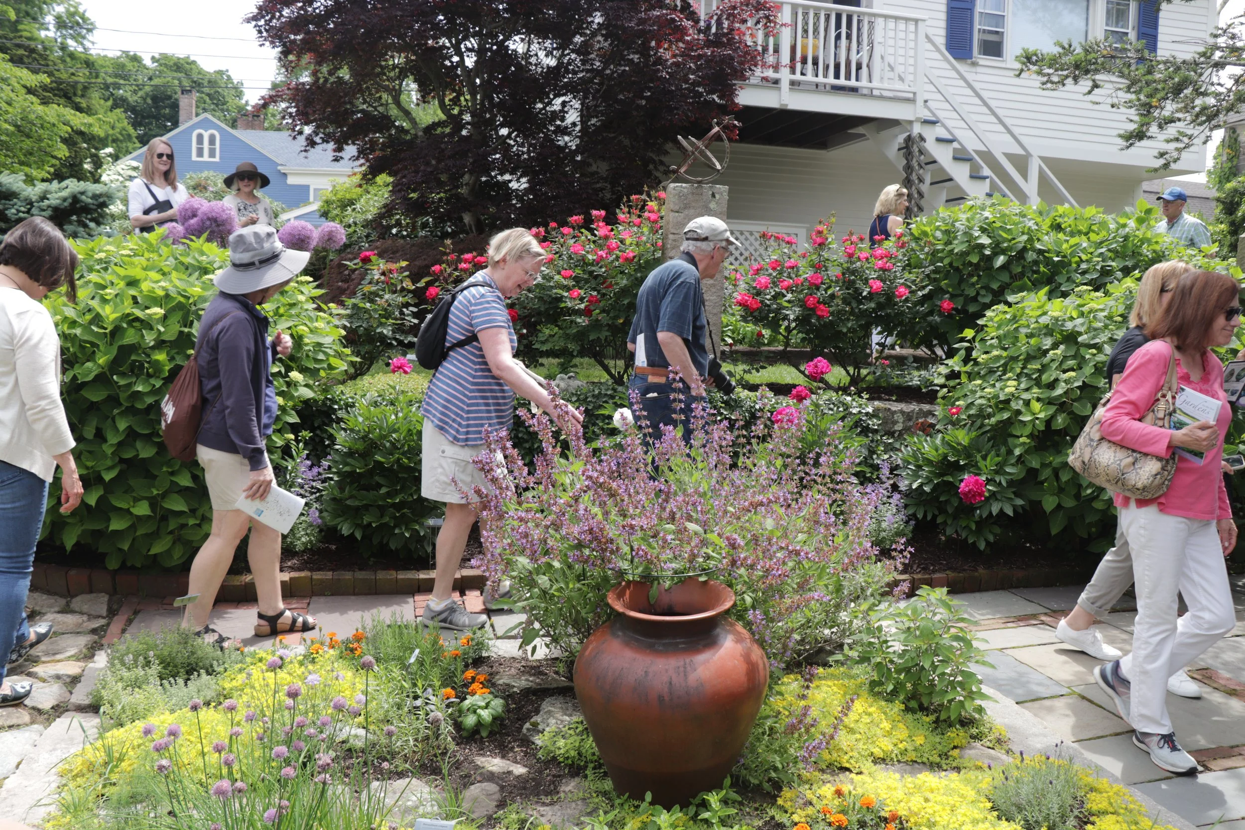 2022 Stonington Garden Club Gardens by the Sea_0772.JPG