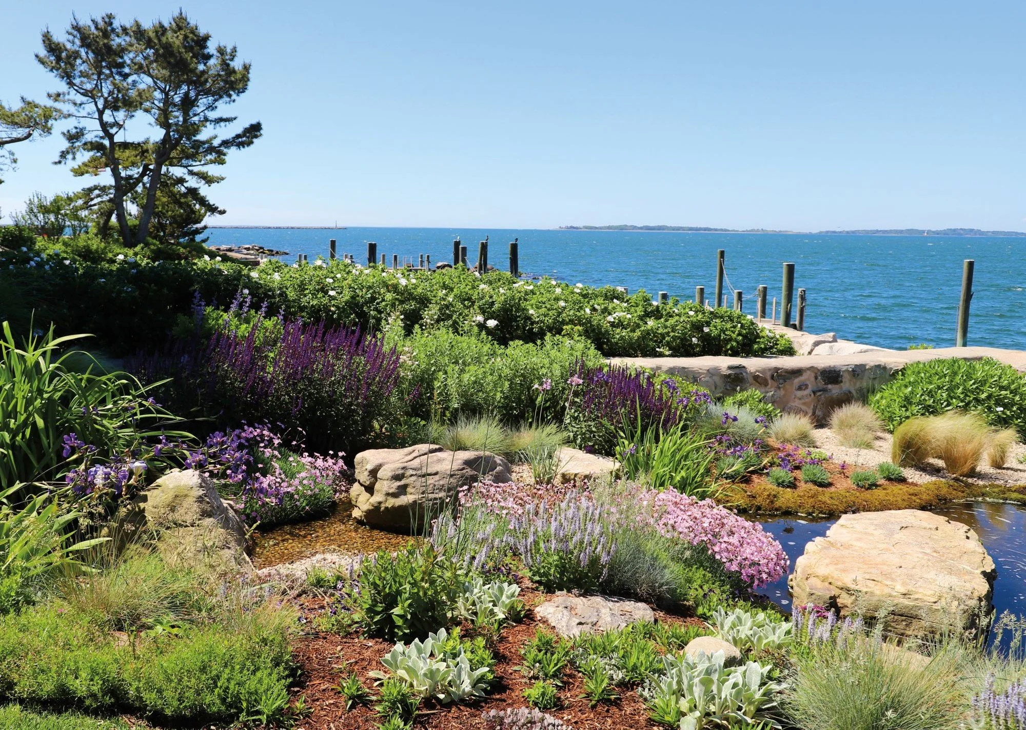Gardens By the Sea - Celebrating the Stonington Garden Club’s 100th Anniversary