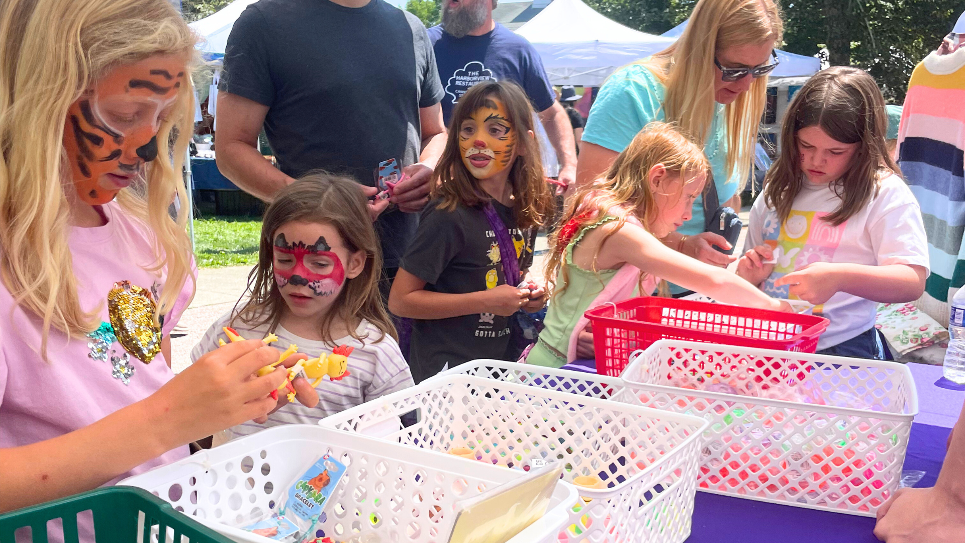 The Annual Village Fair