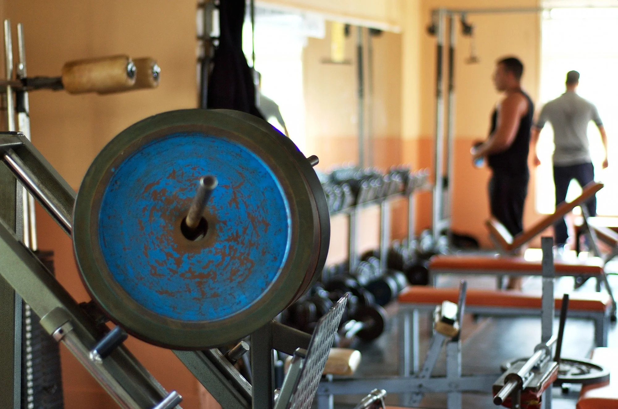 Exercício físico de resistência ou treino da força