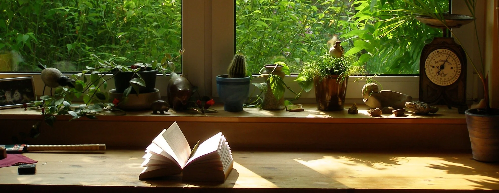 Para ler - "A Informadora" de Lindsey Davis