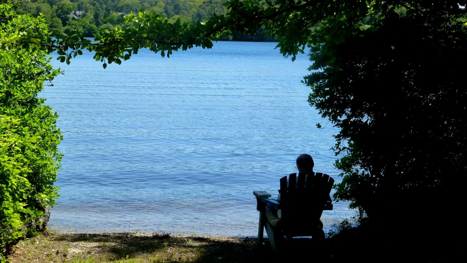 Para ler - "Uma noite no expresso do oriente" de Verónica Henry