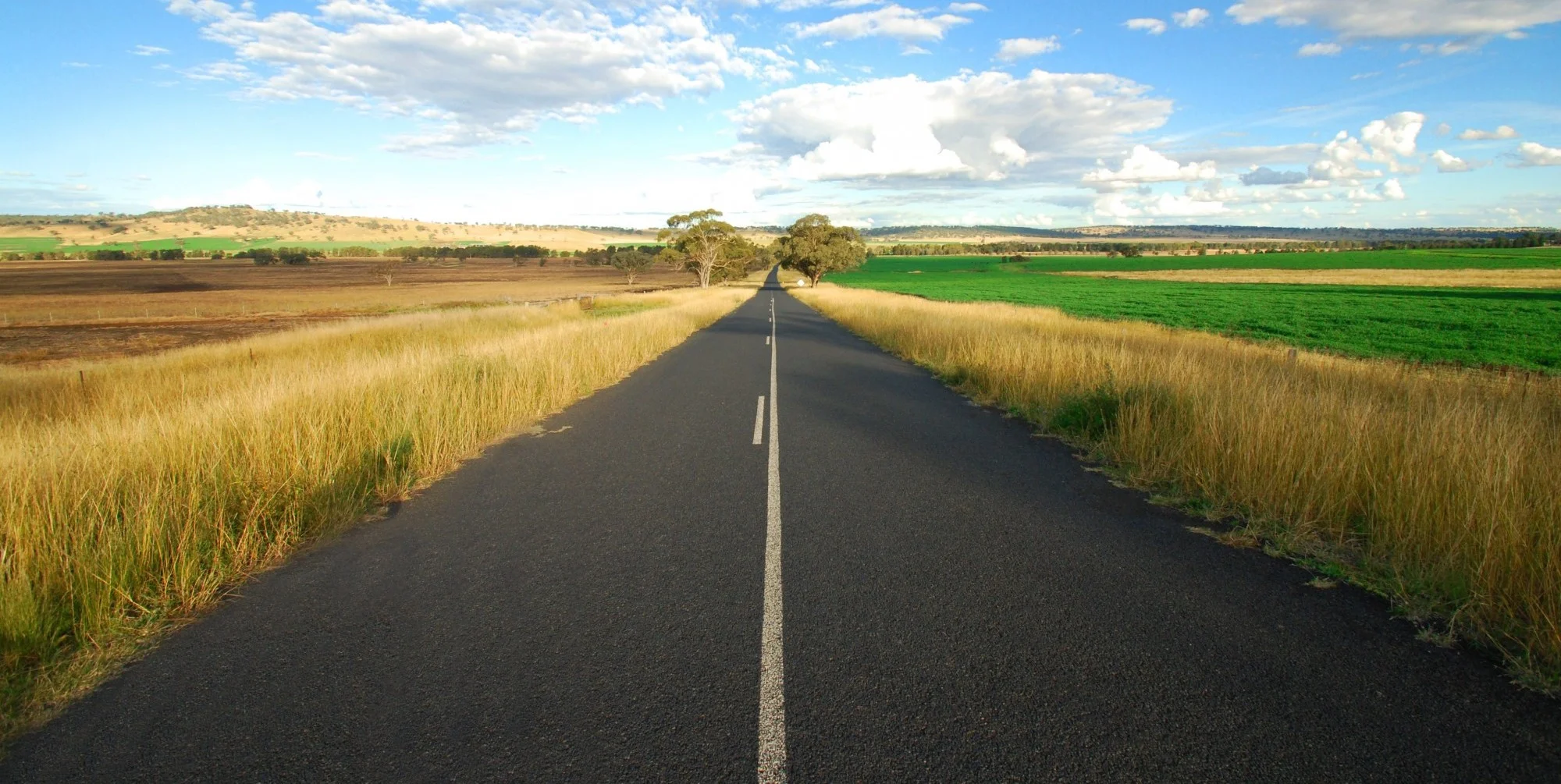 A doença renal tem um novo espaço de partilha