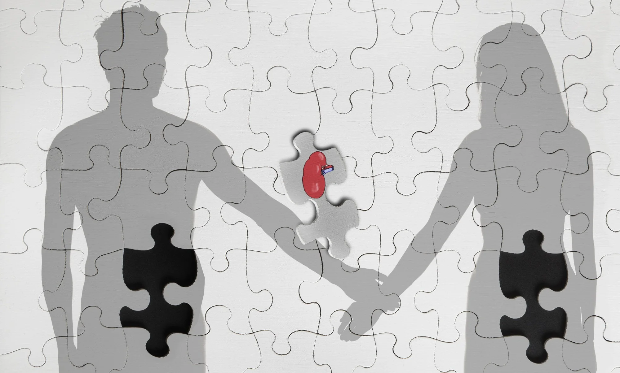 Dia Europeu da Doação de Órgãos e Transplantes