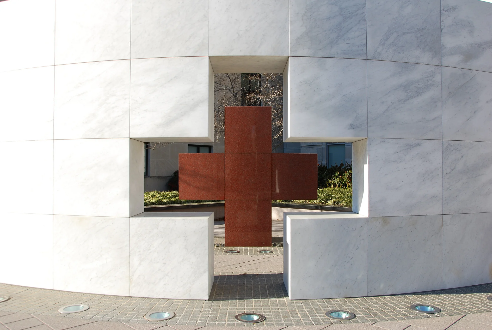 A história de um transplante renal (parte 2)