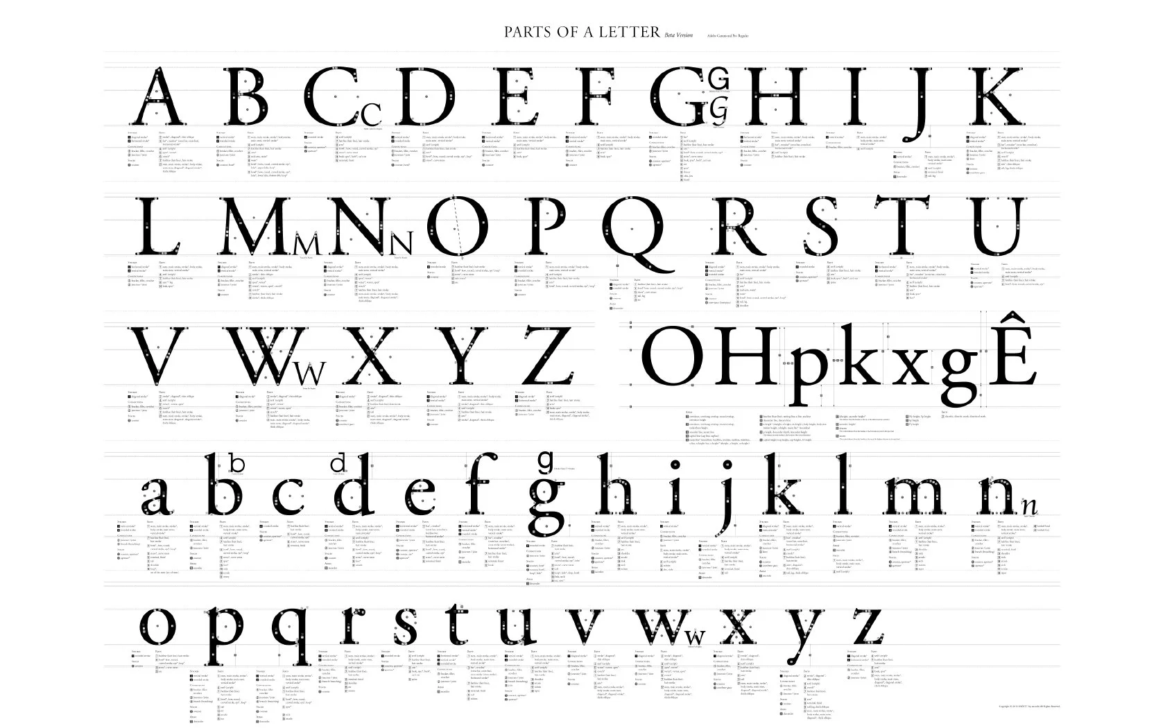 Nova secção Pelo Rim: Glossário