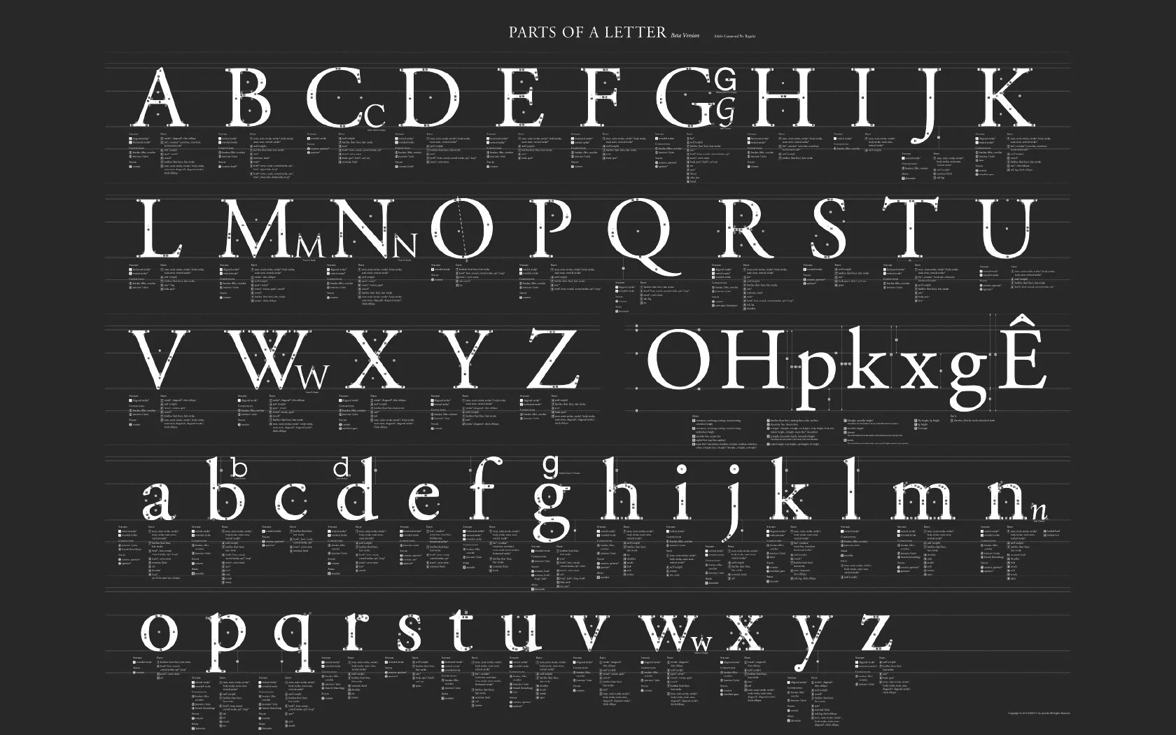 Glossário Pelo Rim: mais 5 conceitos