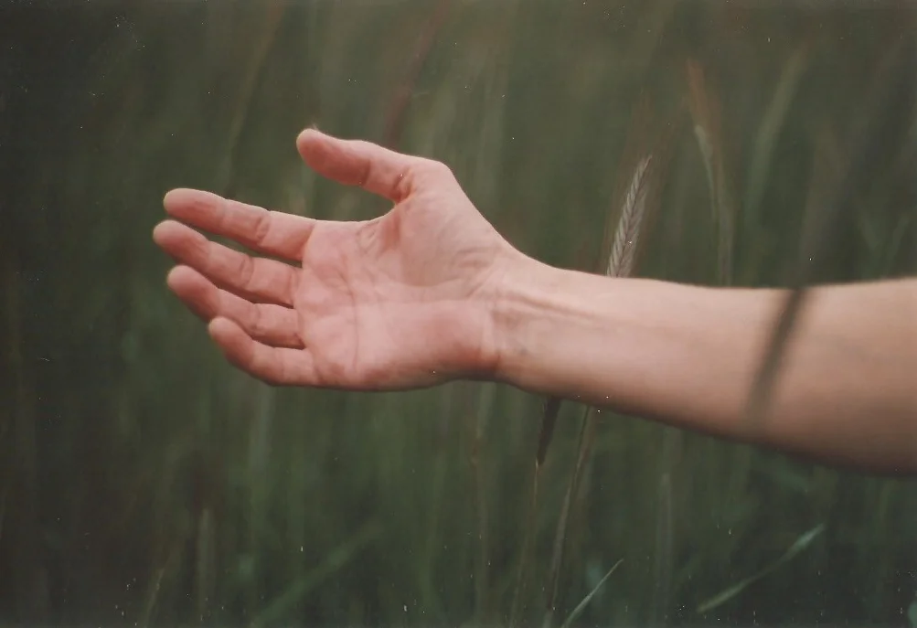 Cuidados com acessos vasculares