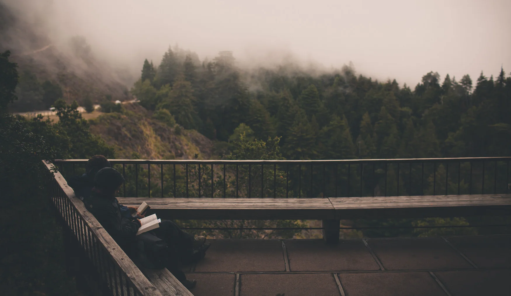 Para ler - "Na sombra da paixão" de J. R. Ward