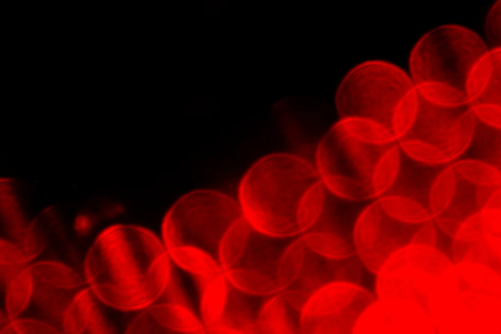 Anemia na doença renal crónica