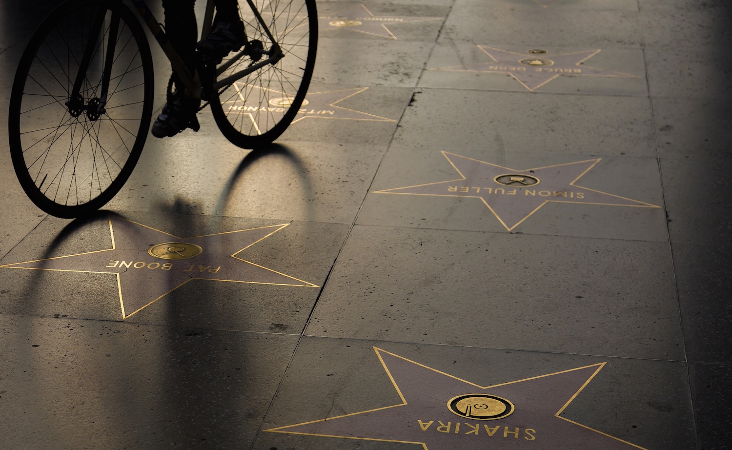 Celebridades e doença renal