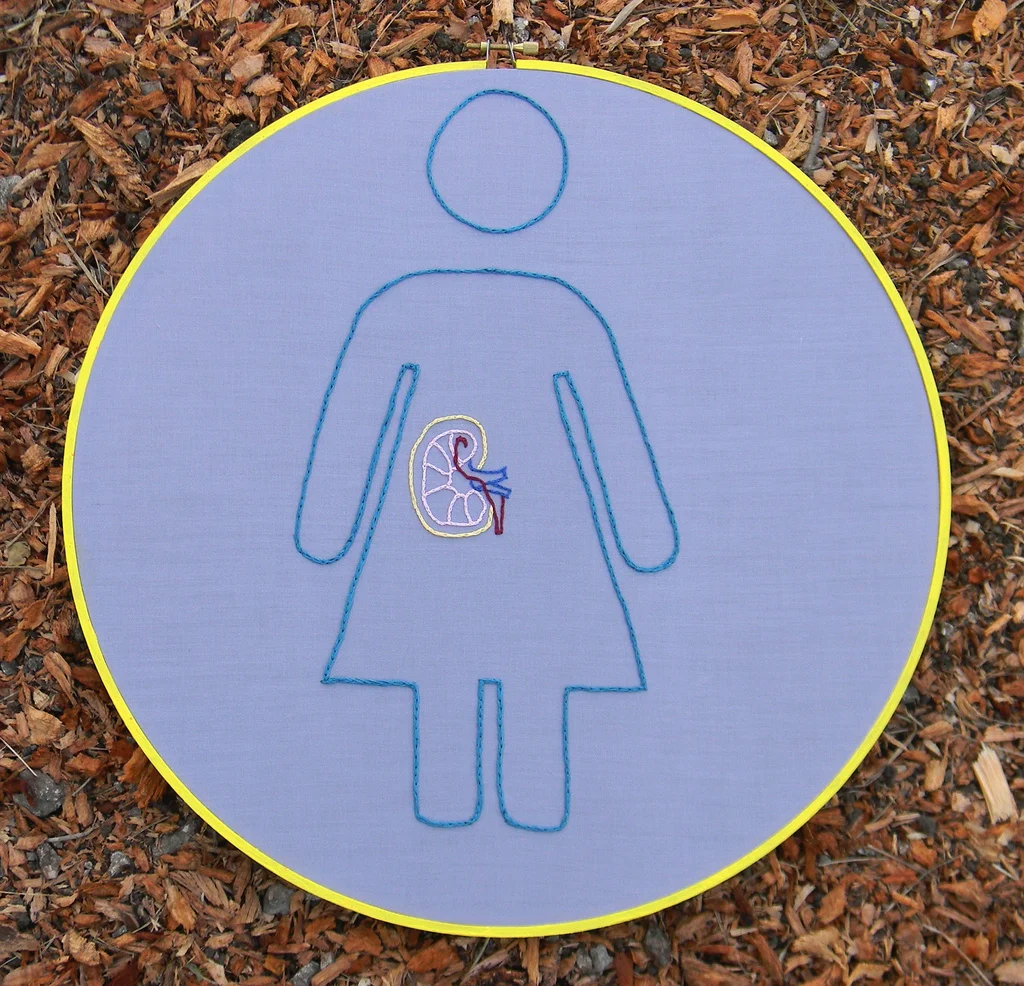 Dadores de rins aumentam