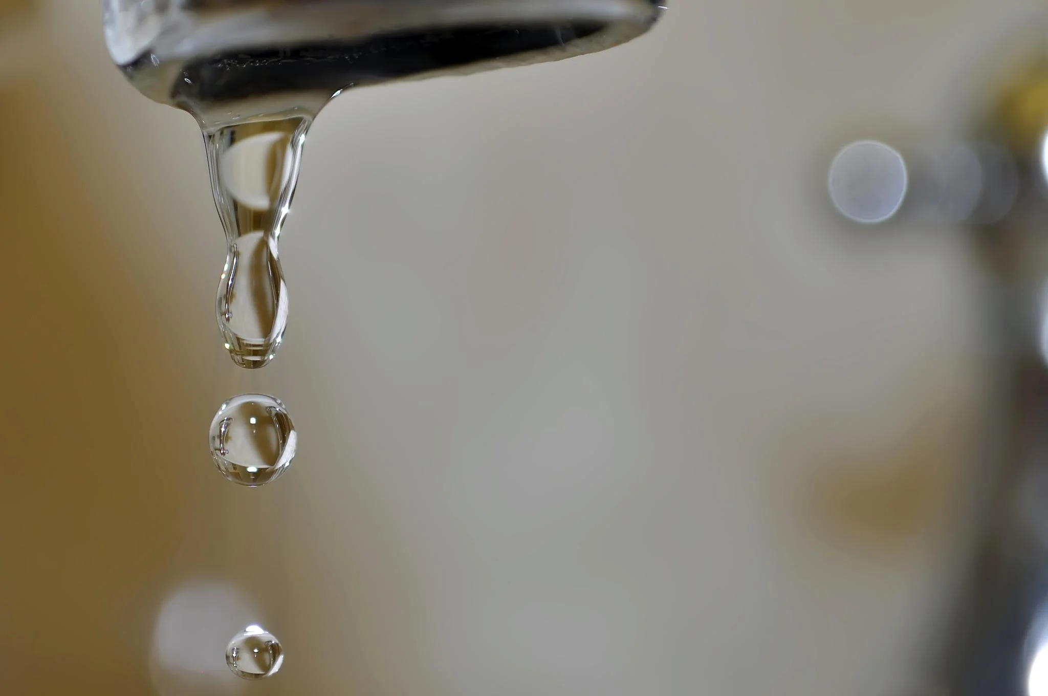 Dia da incontinência urinária