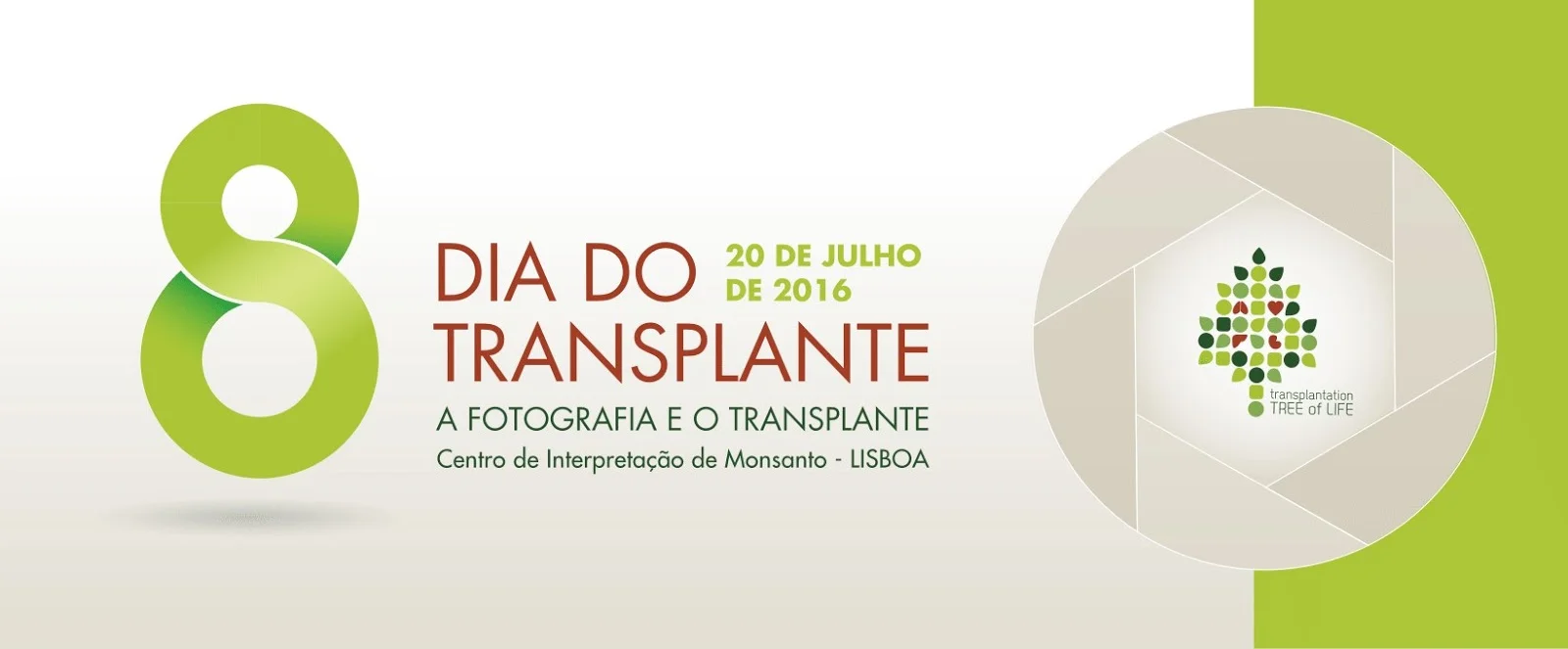 8º Dia do Transplante