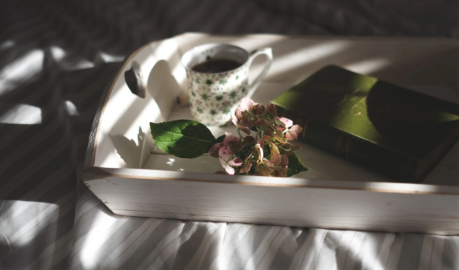 Para ler - "Ideias com Amor e Lima" de Maria Melo Santos