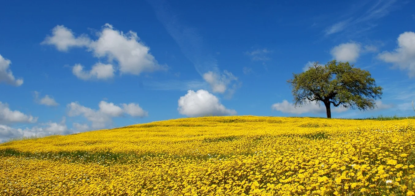 Viver com uma doença crónica
