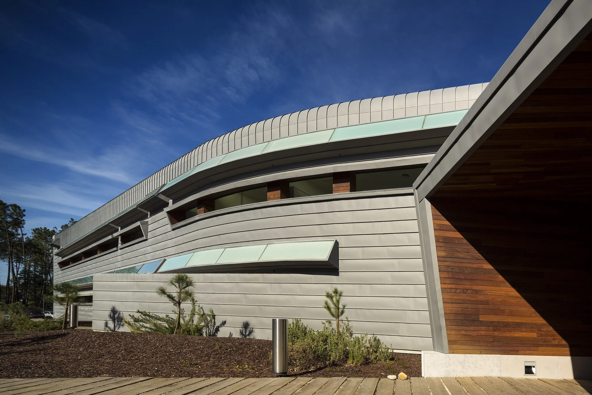 Relatório da Atividade – Colheita e Transplantação - 2013