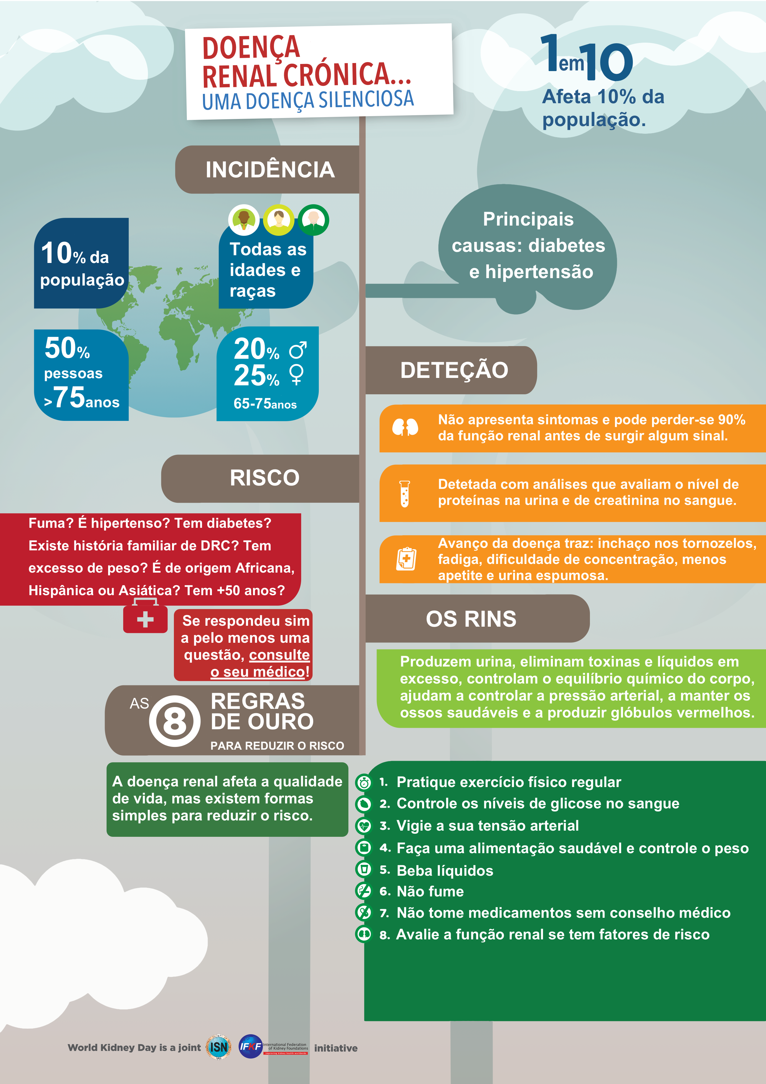 Infografia DMR 2014