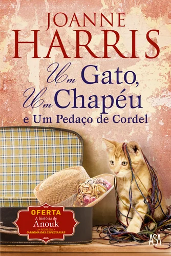 Um gato um chapeu