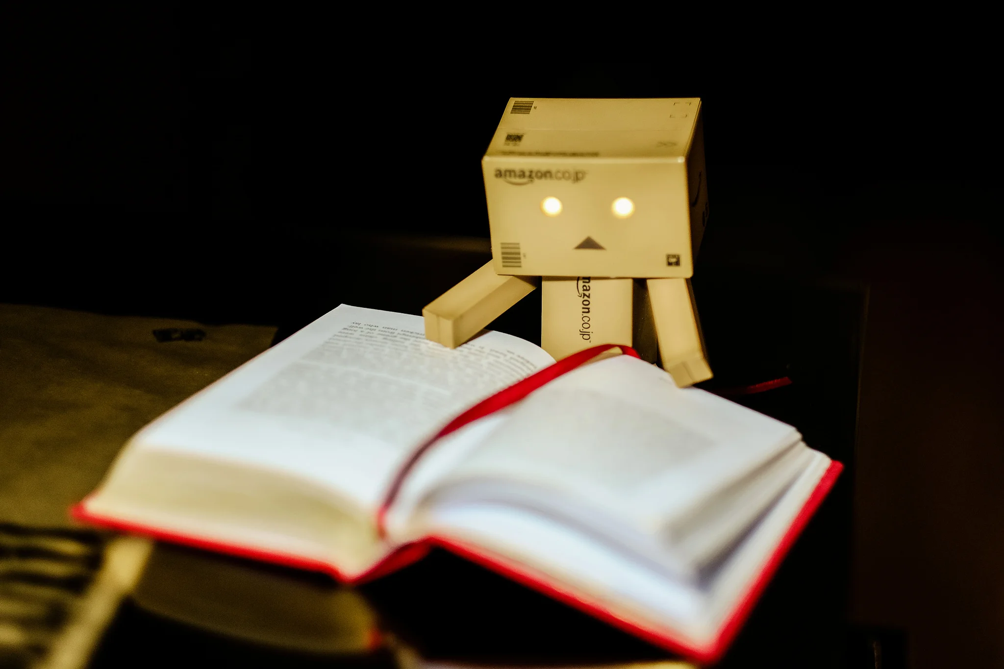 Danbo-reading.jpg