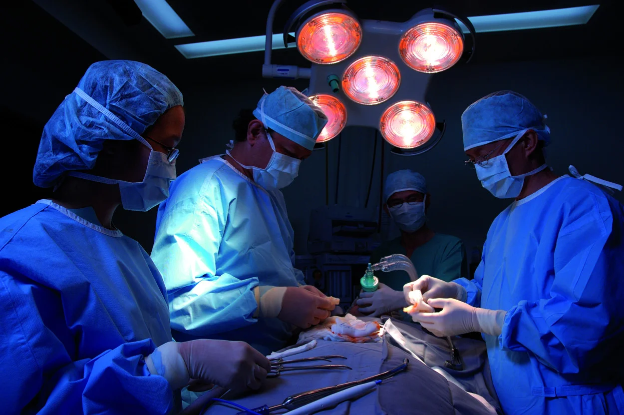 Transplante-3-e1444168590945.jpg