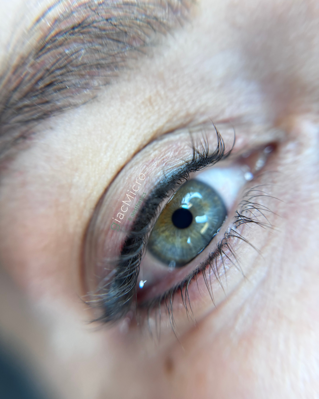 Lyutsiya Brows-Website (4).png
