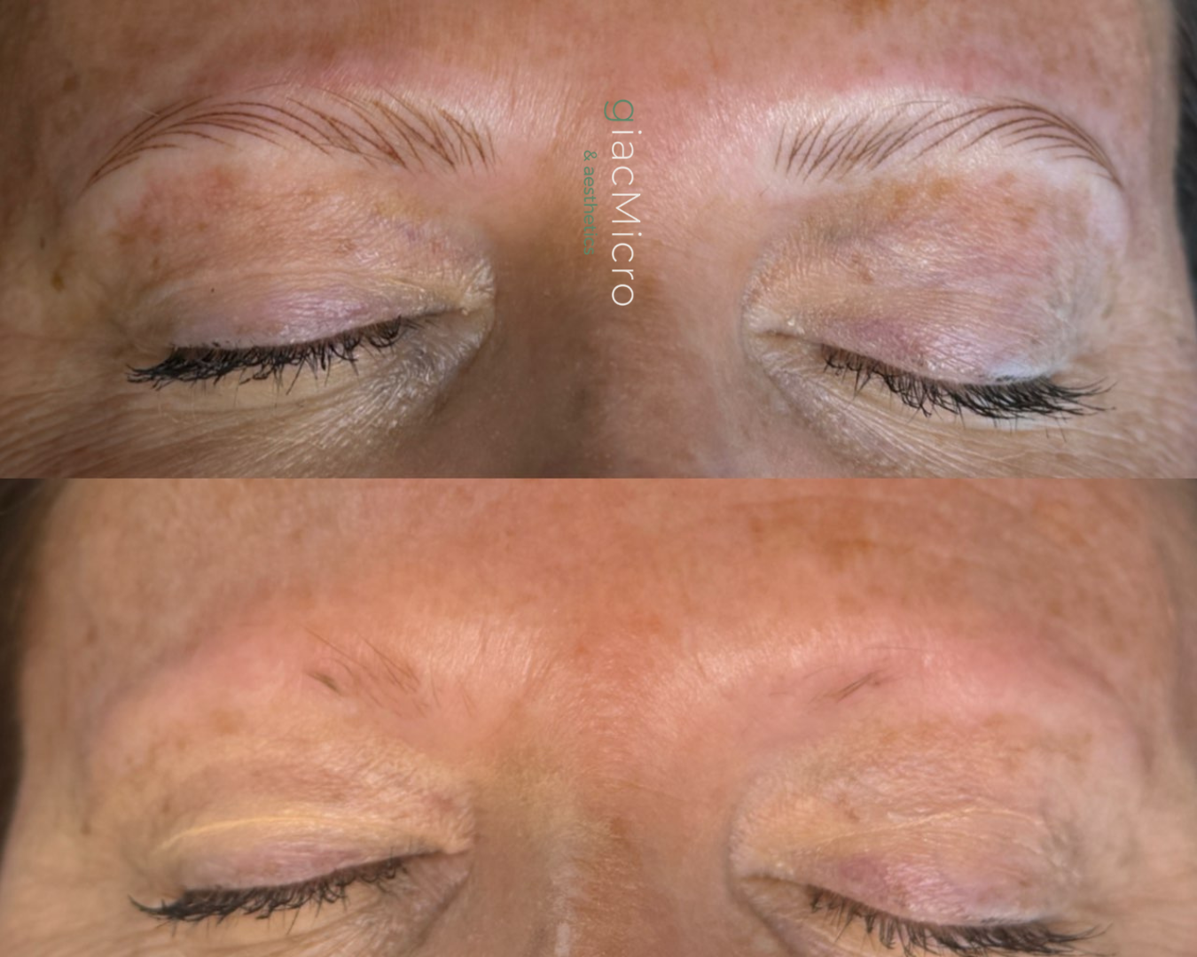 Gina+Brows-+Website++%282%29.png